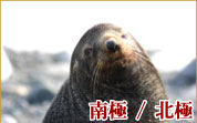 ��ɁE�k��