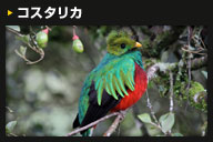コスタリカ