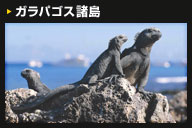ガラパゴス諸島